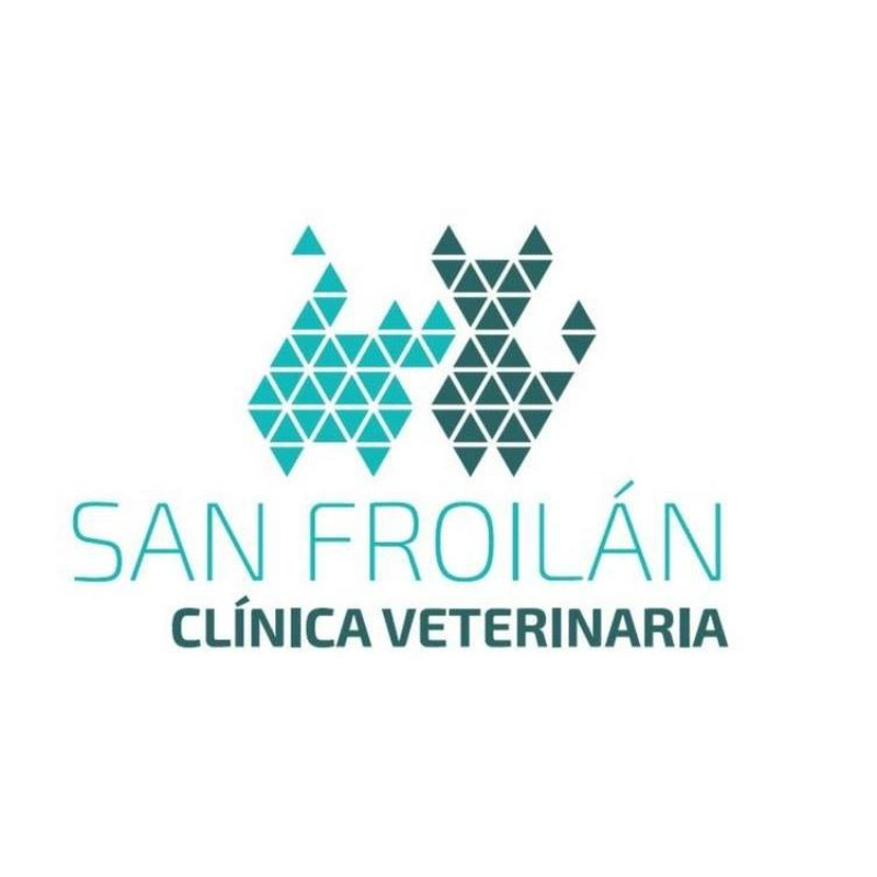 Clínica Veterinaria San Froilán