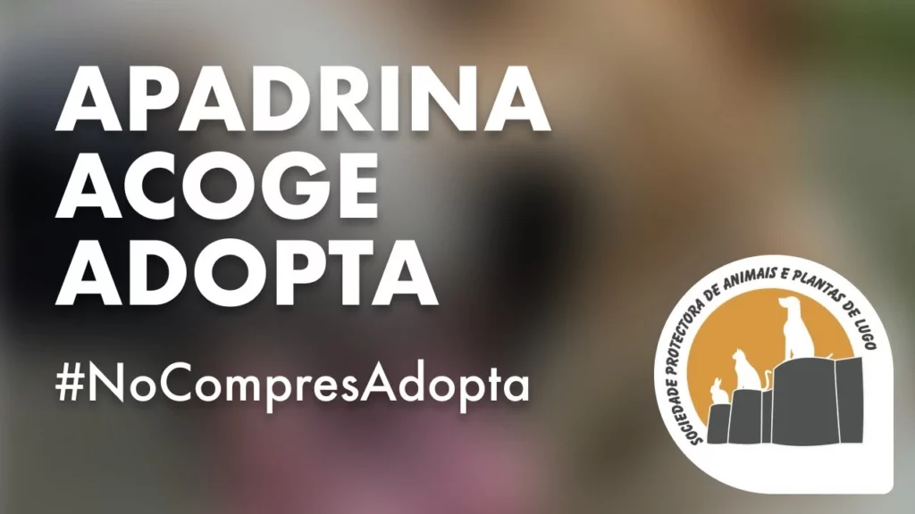 Sociedad Protectora de Animales y Plantas de Lugo