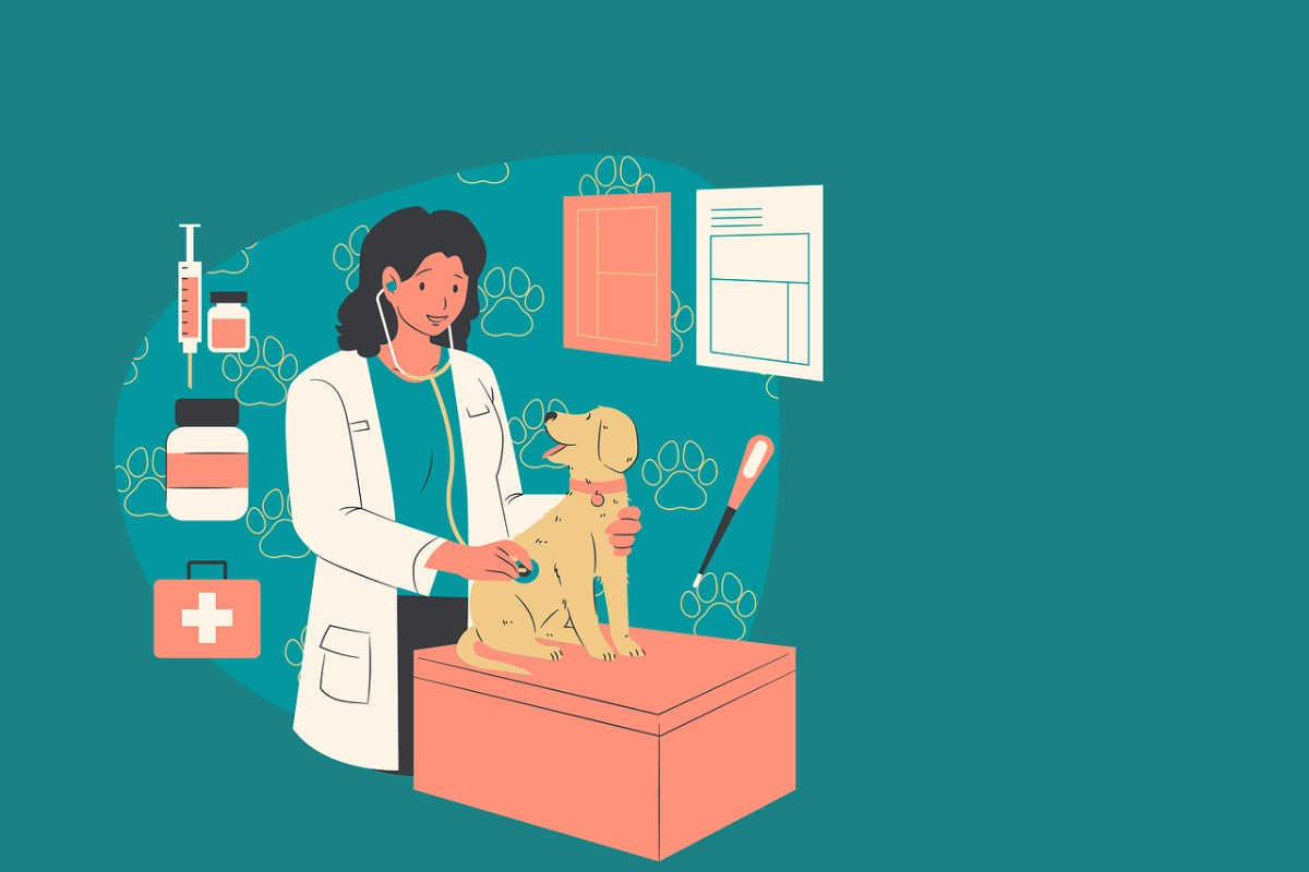 Veterinario y Clínica